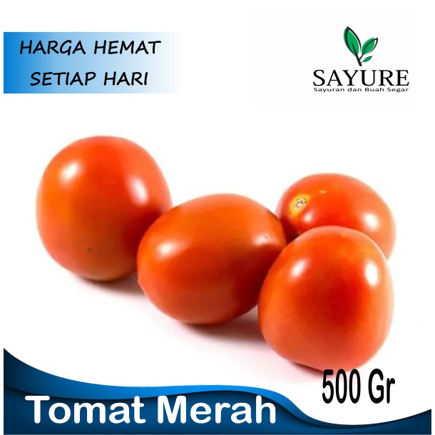 

TOMAT MERAH SEGAR MURAH 500 GR