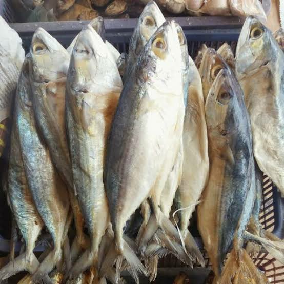

Ikan Asin Peda Putih - 1 Kg