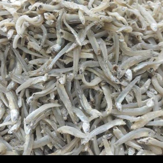 

Baru Ikan Teri Buntio Medan 500gram .,