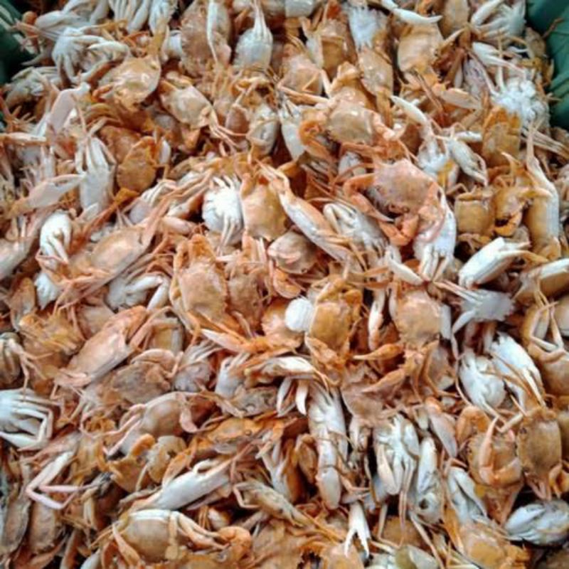 

Snack Seafood Baby Crab Mentah isi 1Kg Renyah Gurih