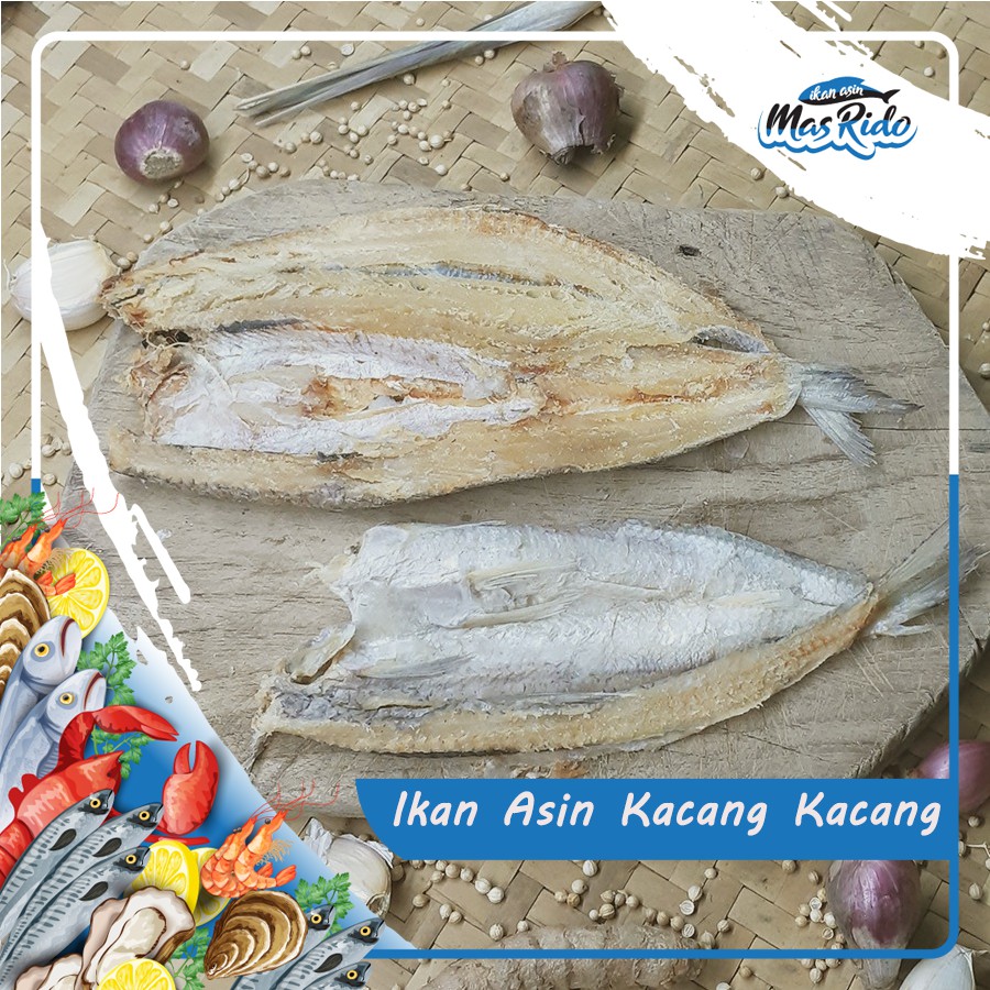 

Ikan Asin Kacang Kacang Kwalitas Super Harga Murah