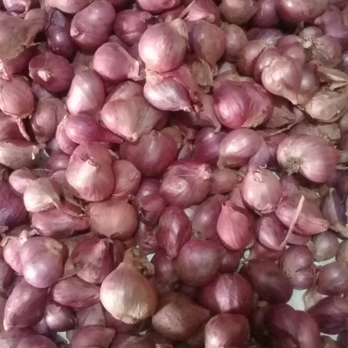 

bawang bima ukuran tengah kecil pasar online makassar