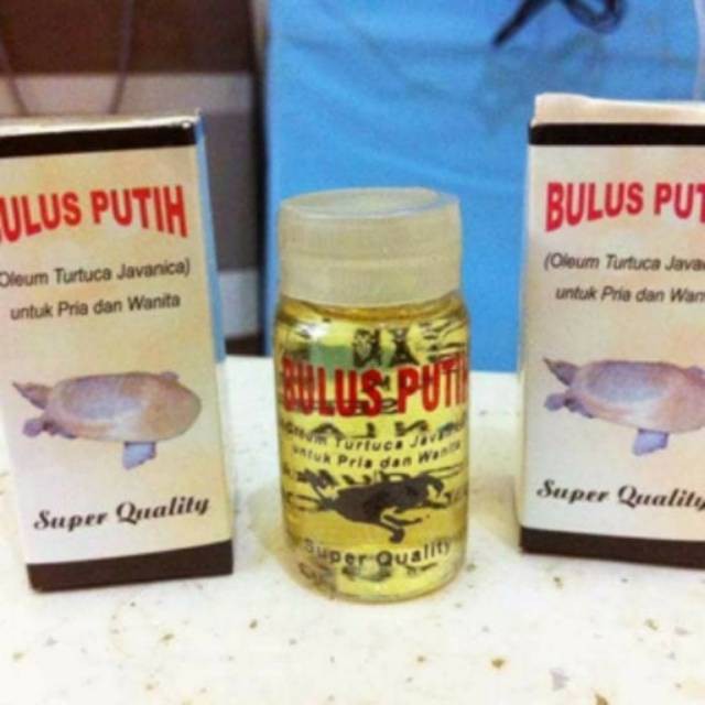 MINYAK BULUS PUTIH ORIGINAL