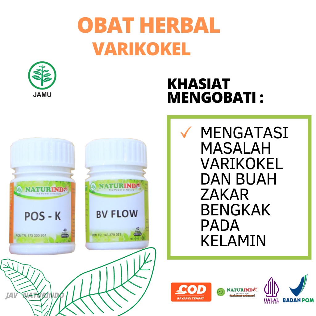 Obat Varikokel Obat Buah Zakar Bengkak Obat Verikokel Testis Bengkak Herbal Ampuh Buah Zakar Bengkak