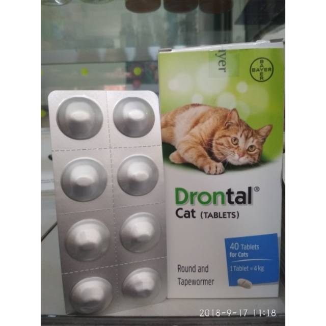 DRONTAL CAT OBAT CACING