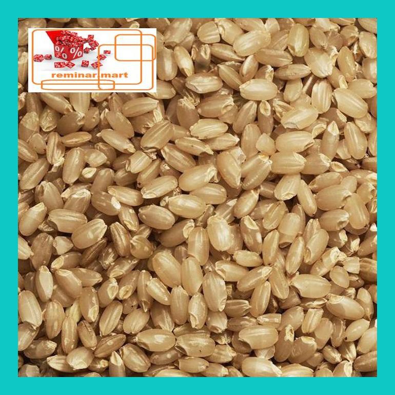 

S0Bers 2 Kg Kaze Brown Rice Beras Jepang Nil Sugar Rendah Karbohidrat Ric0S50B