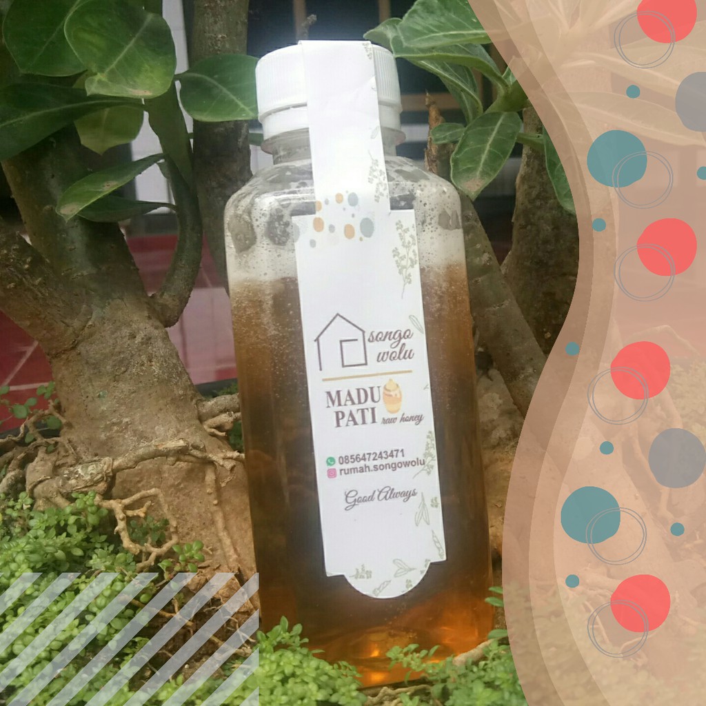 

Madu Pati - madu asli kemasan 300 gram - raw honey