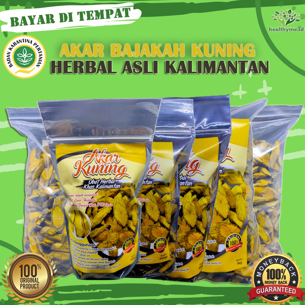 ³JY² Akar Bajakah Kuning / Akar Kuning Asli Kalimantan / Herbal Asli Kalimantan ·