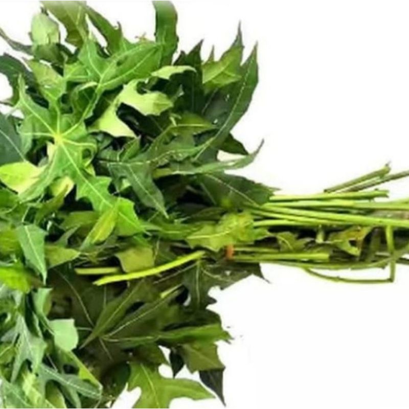 

Daun Pepaya Fresh 1 ikat