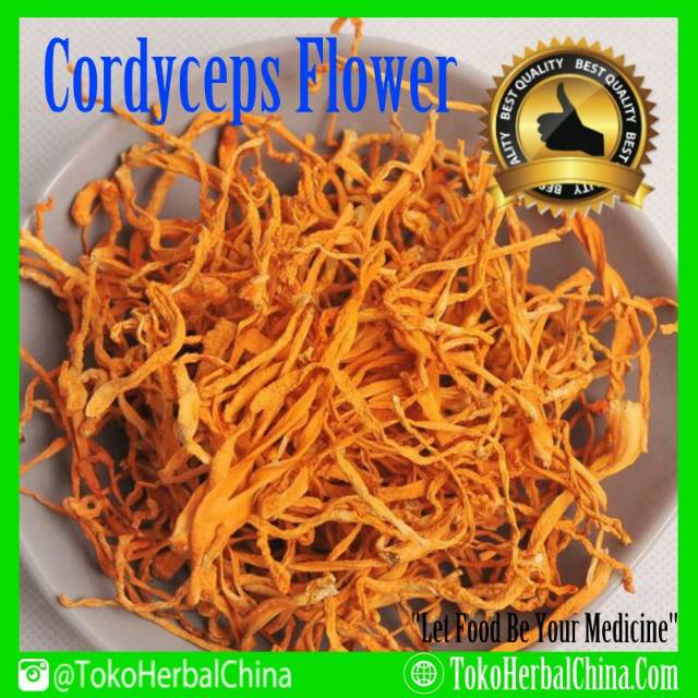 

Jamur Bunga Cordyceps Flower Mushroom 50g