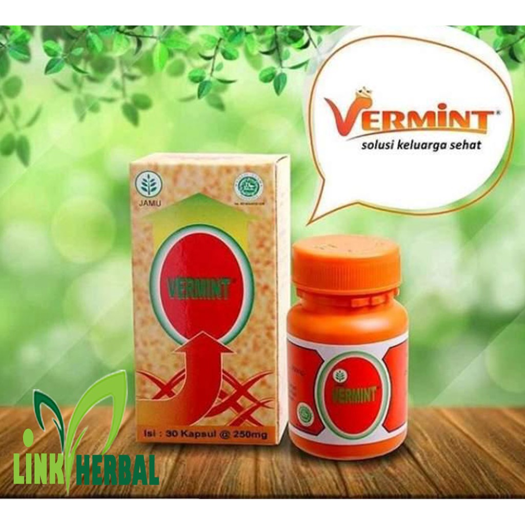 Vermint Vermin Obat  Penyakit Tifus Tipes  Typus 30 