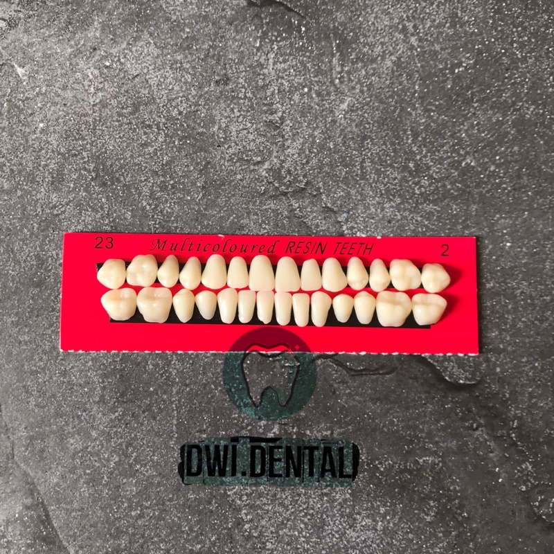 E3.8 Anasir gigi tiruan / gigi palsu akrilik caiyu / artificial teeth acrylic /  gigi tiruan