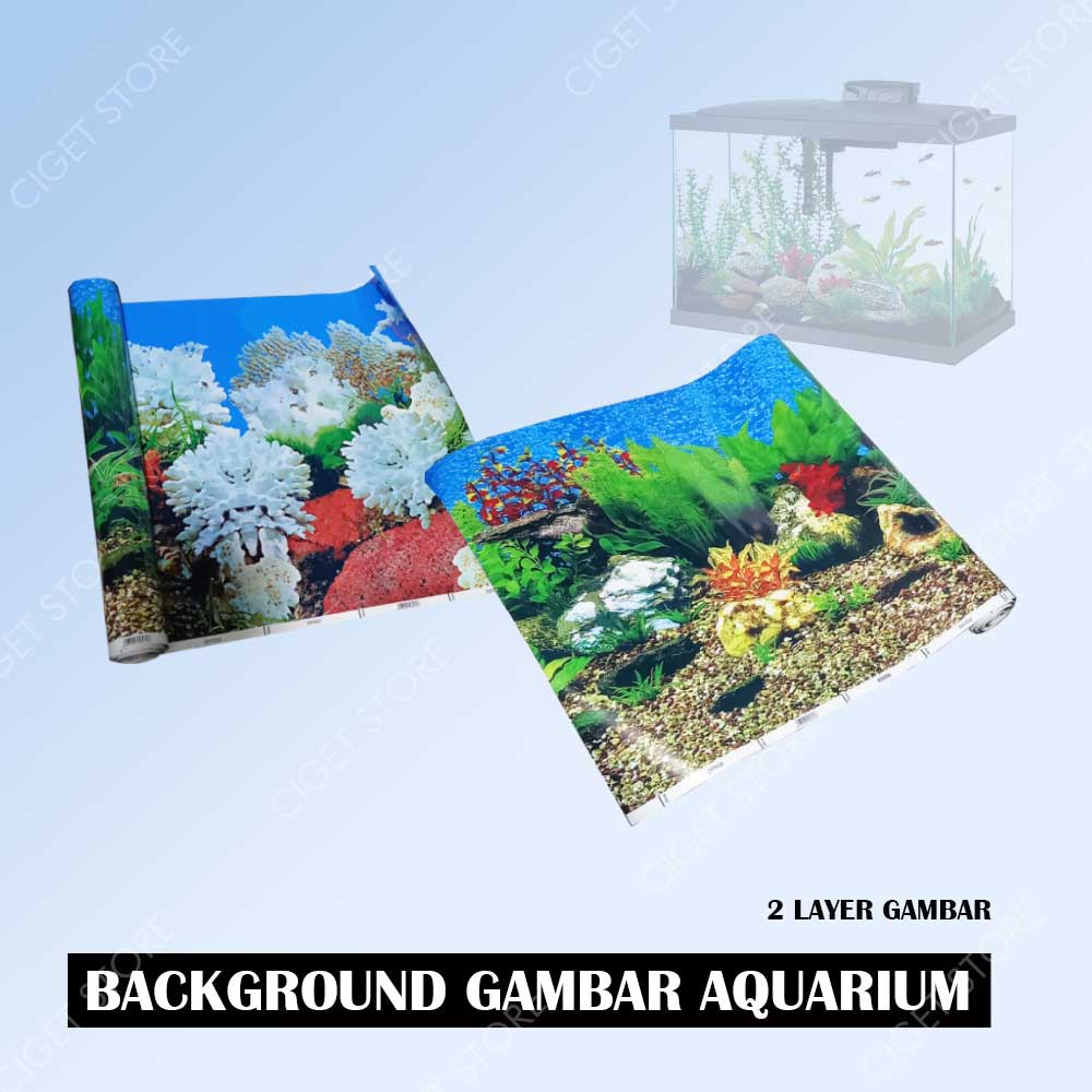 Background gambar wallpaper aquarium