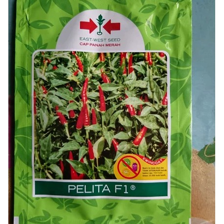 Kemasan Pabrik Benih Bibit Cabe Rawit Hijau PELITA F1 SP 350 Biji