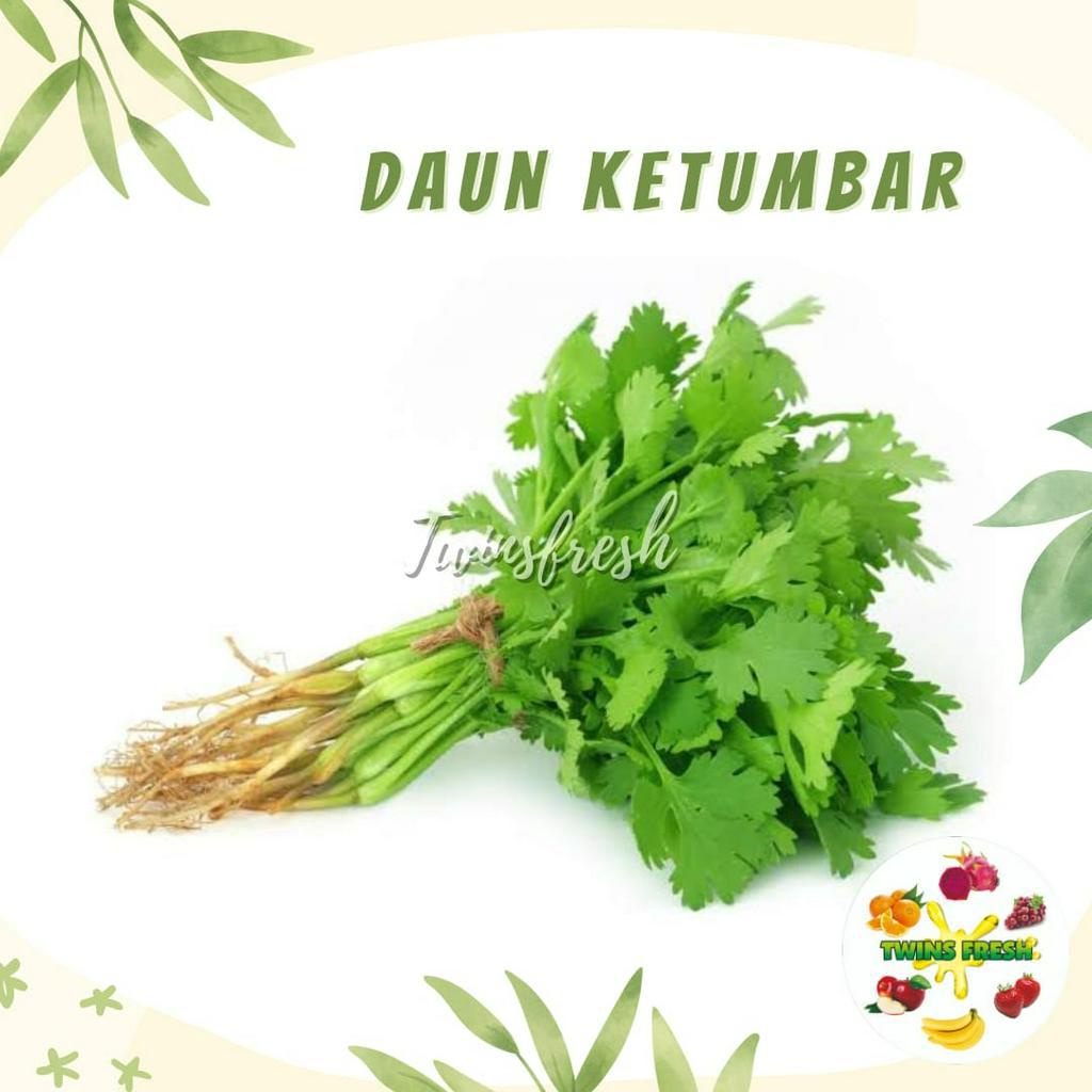 

Daun Ketumbar 1kg - Twins Fresh