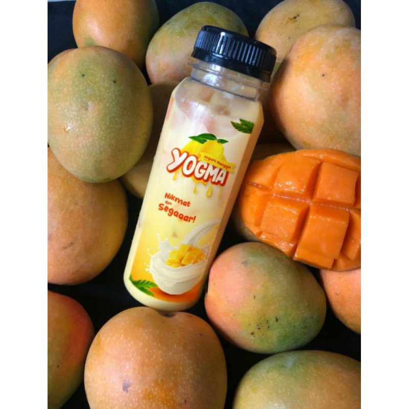 

Yogurt Mangga