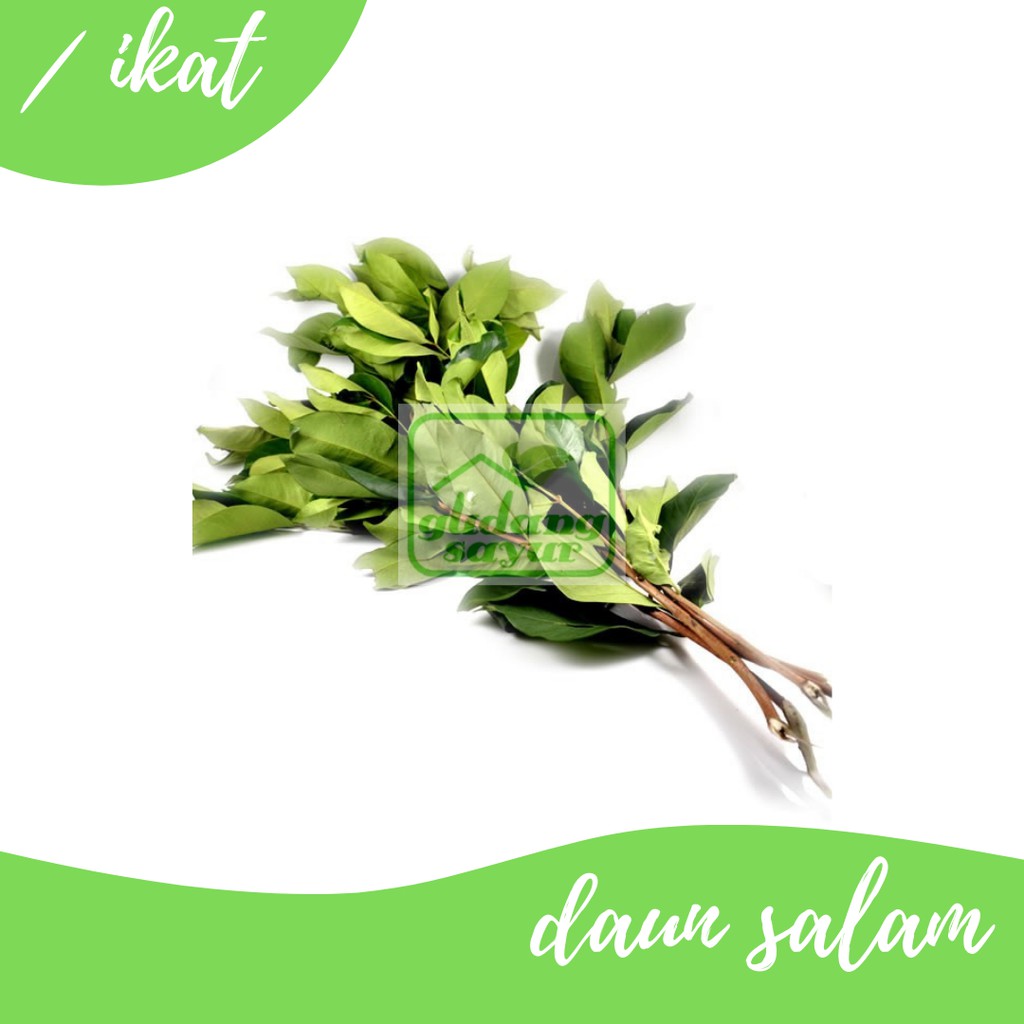 

Daun Salam 1 ikat Gudang Sayur Purwokerto