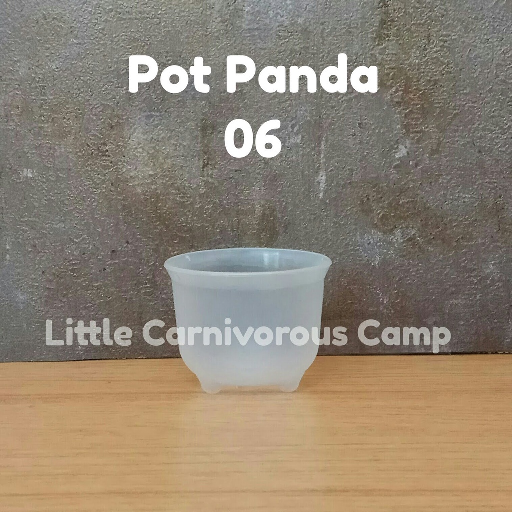POT PANDA 06 / 6 pot mini kecil BENING HITAM MERAH HIJAU BIRU nkt pembibitan kaktus sukulen lucu