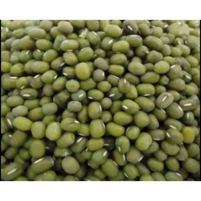 

kacang ijo 1 kg