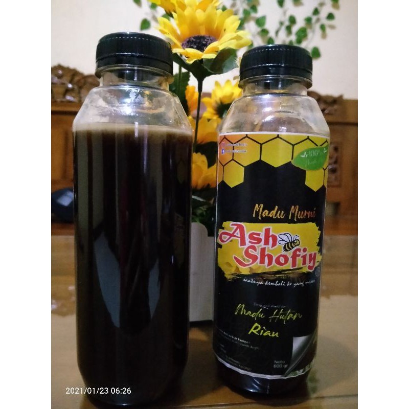 

madu hutan riau