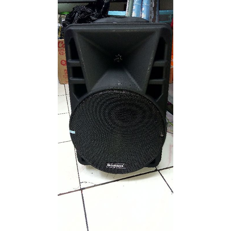 Speaker Portable N aiwa 12in