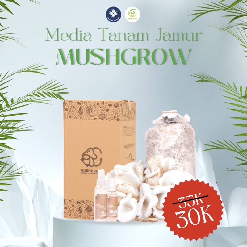 Media Tanam Jamur Tiram Putih | Grow Kit MUSHGROW