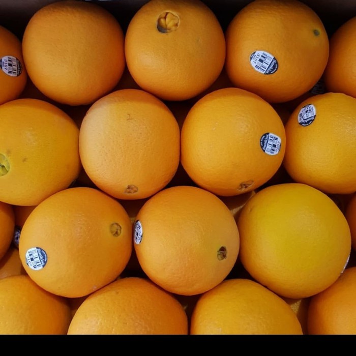

Jeruk Sunkist Navel USA kg