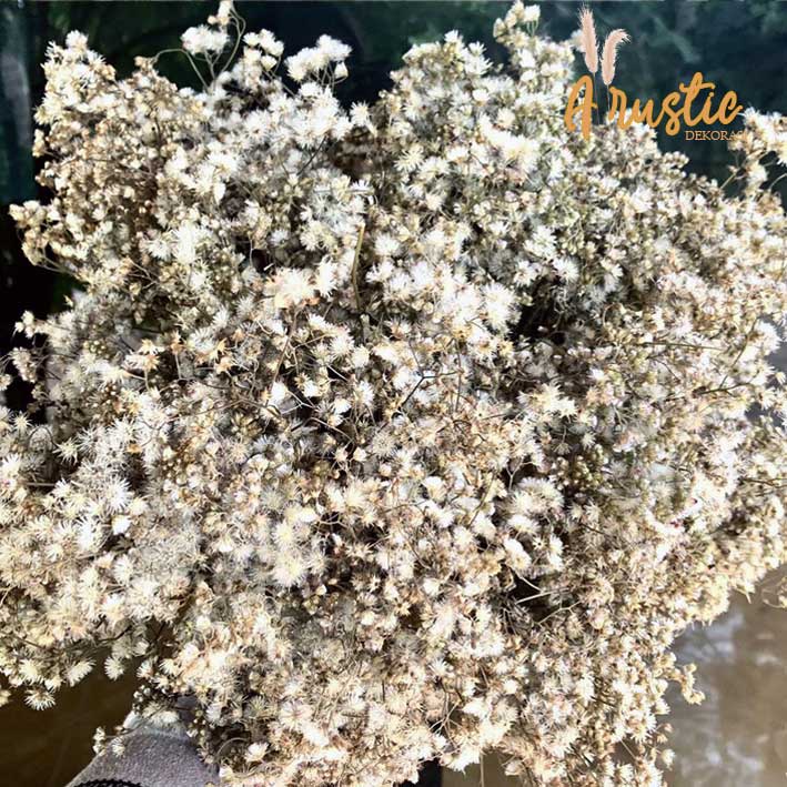 BUNGA KERING BABY BREATH PENGGANTI | DRIED FLOWER BUNGA KERING AESTHETIC DEKORASI LAMARAN