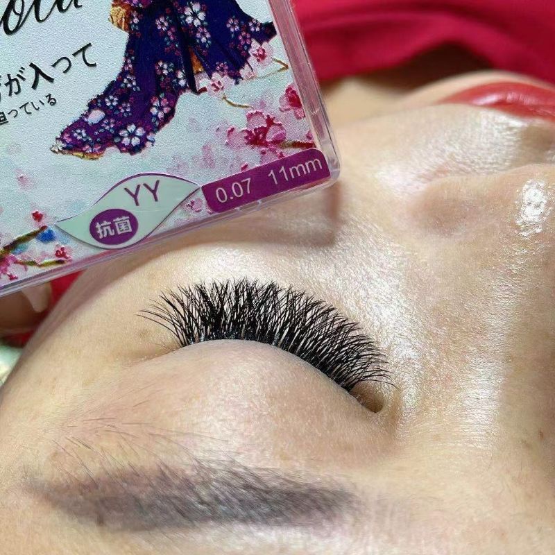 HEMOLA YY RUSSIAN VOLUME EYELASH EXTENSION/ HEMOLA YY BULUMATA TANAM/ BULU MATA EYELASH EXTENSION LEMBUT / BULUMATA RUSSIAN