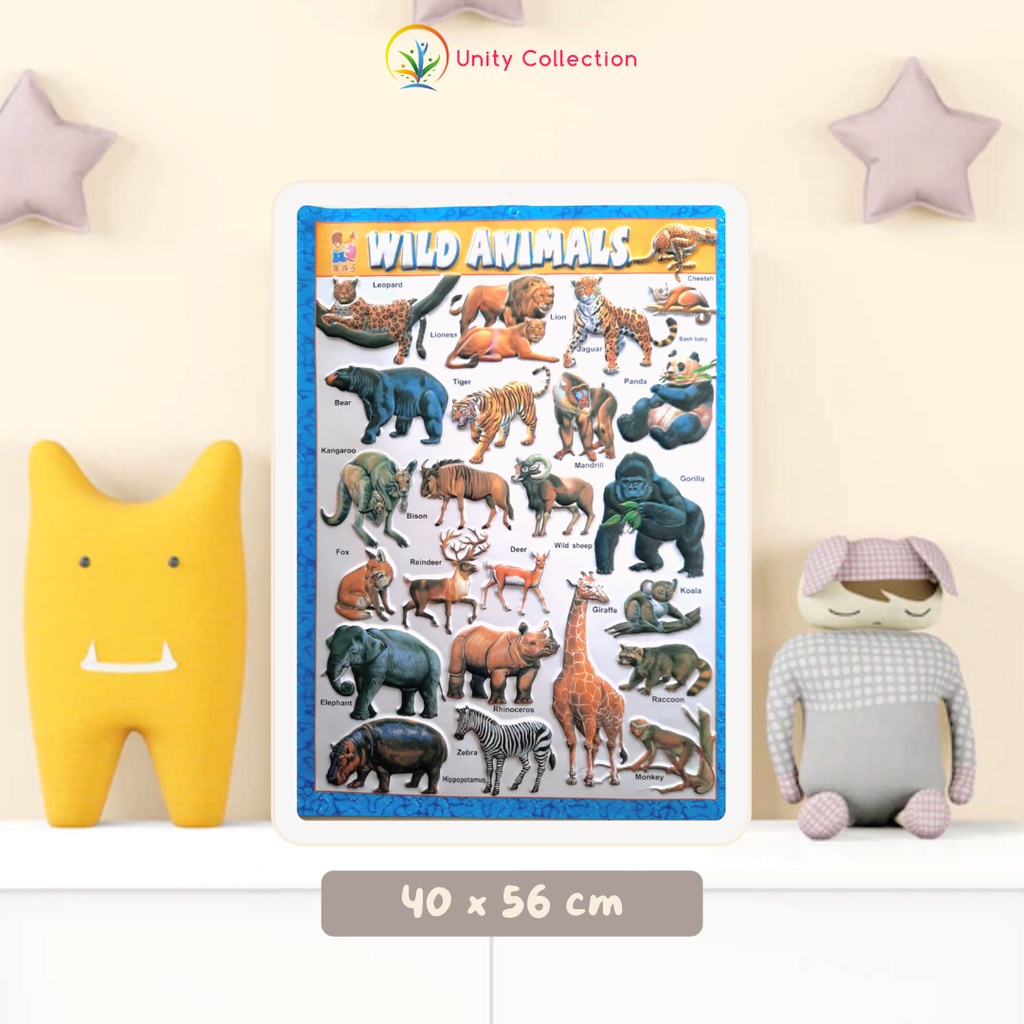 

Poster Timbul Pendidikan Anak Belajar Wild Animals Binatang Buas