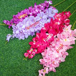 Anggrek cattleya Shopee Indonesia