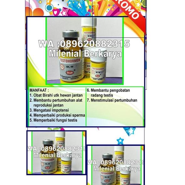 [KODE PRODUK MCFLD5140] ORGINAL, TESTOHORMON OBAT HEWANTESTOHORMON, TESTOHORMON ASLI, Testohormon Or