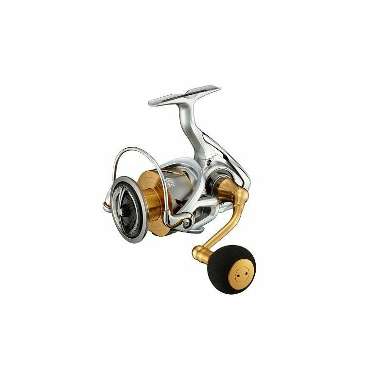 Daiwa Spinning Reel 21 Freams LT6000D-H (1563)