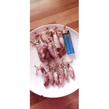 

CUMI ASIN (REBUS) 500 gram - 1 Kg