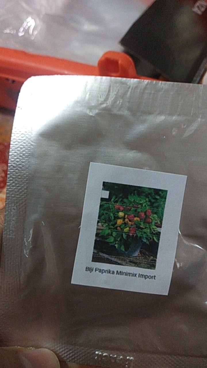 Biji Benih Paprika Mixed