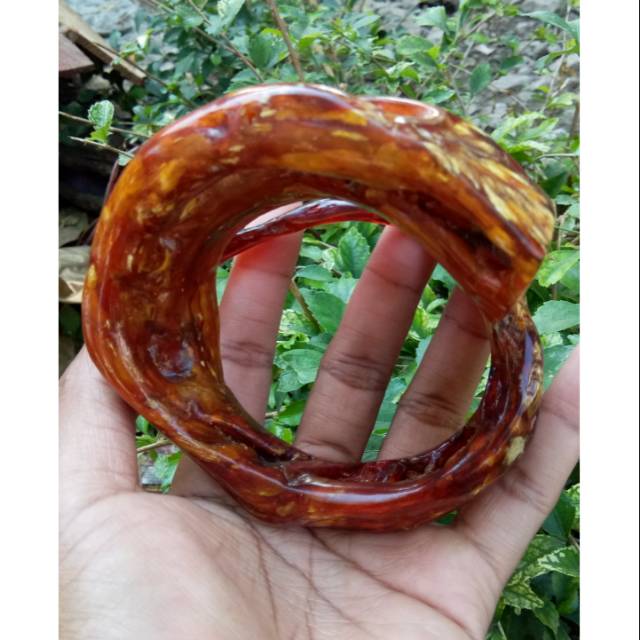 akar bahar merah besar