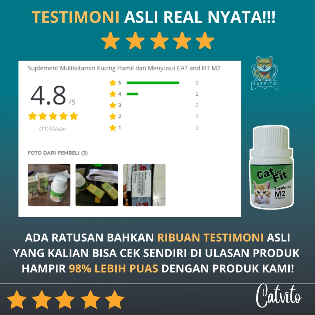 Suplemen Vitamin Untuk Mengembalikan STAMINA KUCING setelah sakit, operasi, hamil dan melahirkan