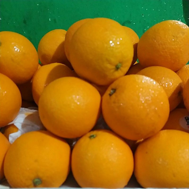 

jeruk Sunkist