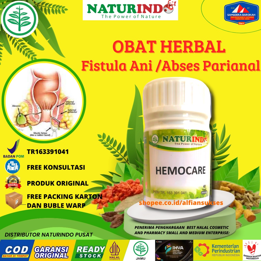 Jual Obat Herbal Fistula Ani Abses Parianal Wasir Ambein Ambeyen ...