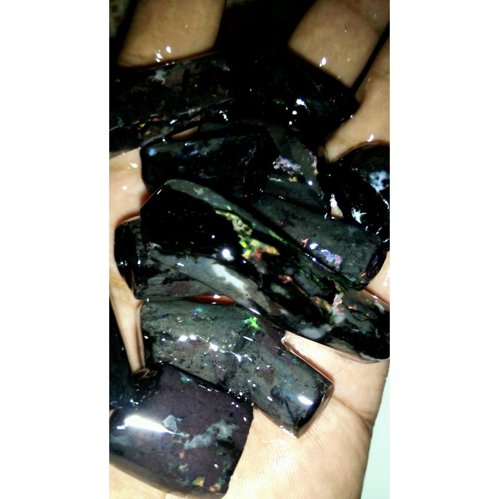 Black opal jarong sisit ruyung