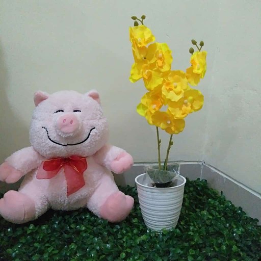 Bunga Mawar Kuncup
