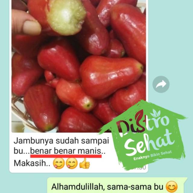 

Jambu CITRA (jambu air tanpa biji yang legit dan manis)