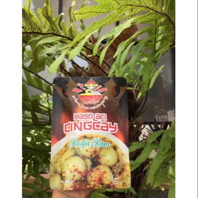 

Baso Aci cingcay