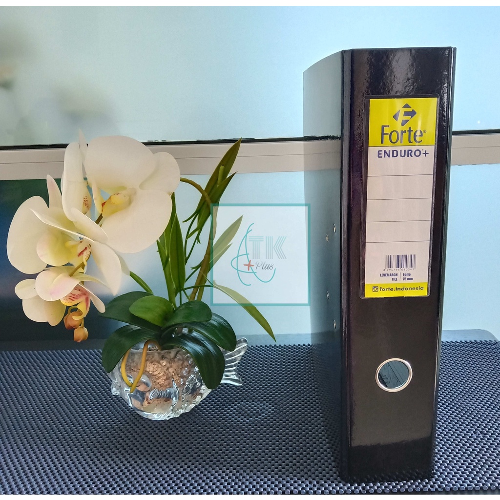 

Ordner Folio / F4 Merk ( FORTE )