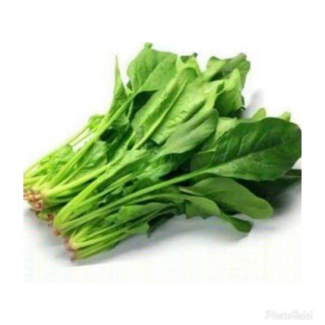 

Horenzo bayam jepang poleng