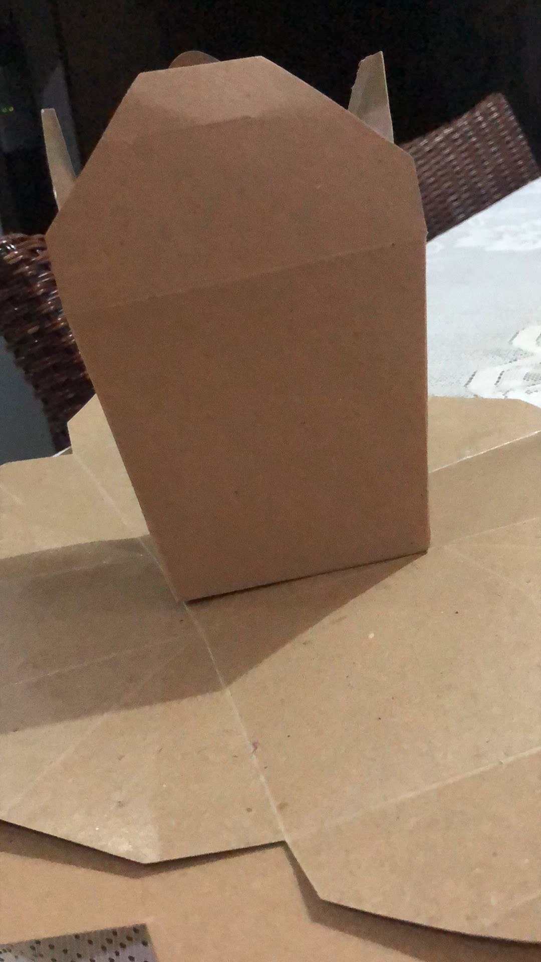 Rice Box / Food Pail Polos M L @1pcs