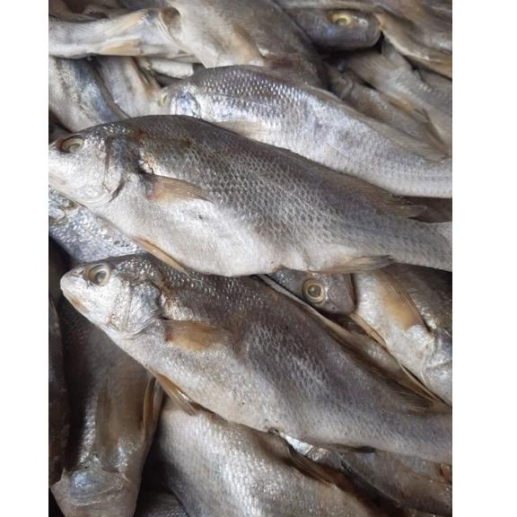

((X-OPQ_✓)) Ikan Asin Sileman 500 gr-pasti dikirim