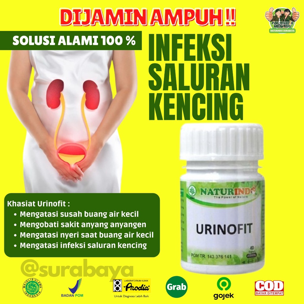 Obat Herbal Sulit Kencing Sakit Prostat Infeksi Saluran Kencing Anyang Anyangen Atasi Batu Ginjal Saluran Kemih Obat Kencing Batu kencing sakit Obat Gagal Ginjal Bocor Bengak Kencing Berbuih Berbusa Batu Spesialis Ginjal URINOFIT NATURINDO SURABAYA-SALURAN KENCING