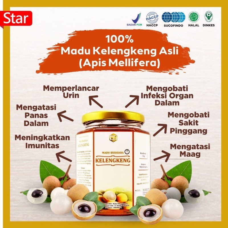 

[COD] Madu Kelengkeng / Lebah Apis Melifera -Garansi Murni & Asli 100-Wild Bee-Kemasan Try Kit