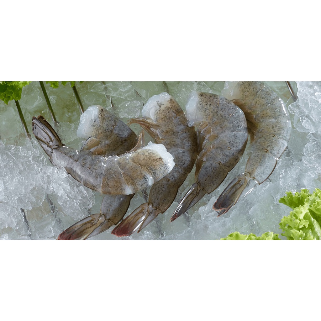 UDANG BEKU EBINOYA 454GR RAW SHRIMP EXPORT QUALITY